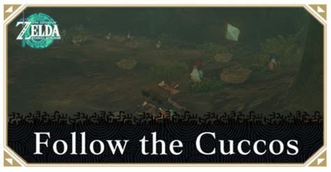 kakariko cuccos|Follow the Cuccos .